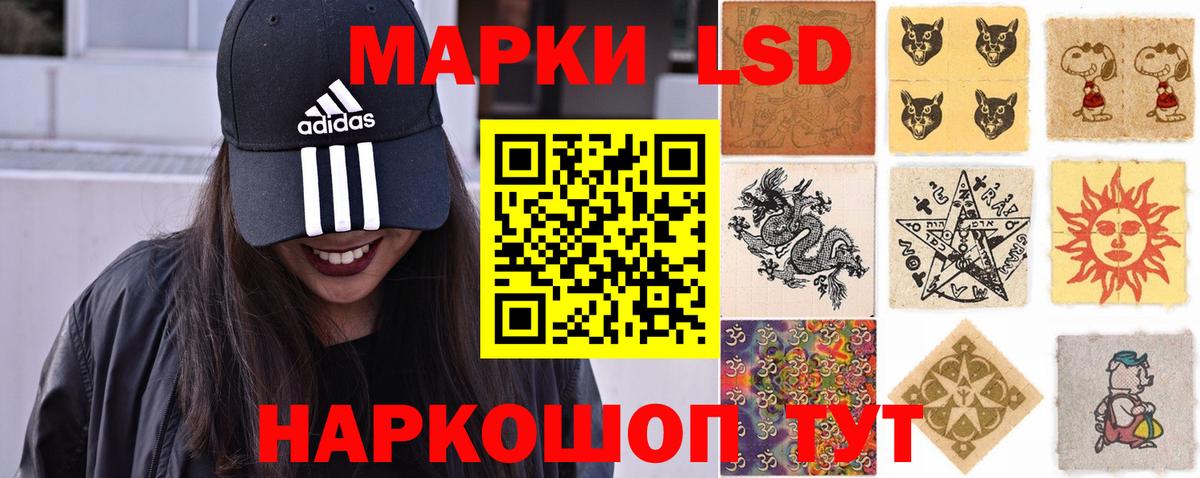 Новозыбков  Лсд 25 экстази ecstasy  ОМГ ОМГ зеркало  Вход с VPN 