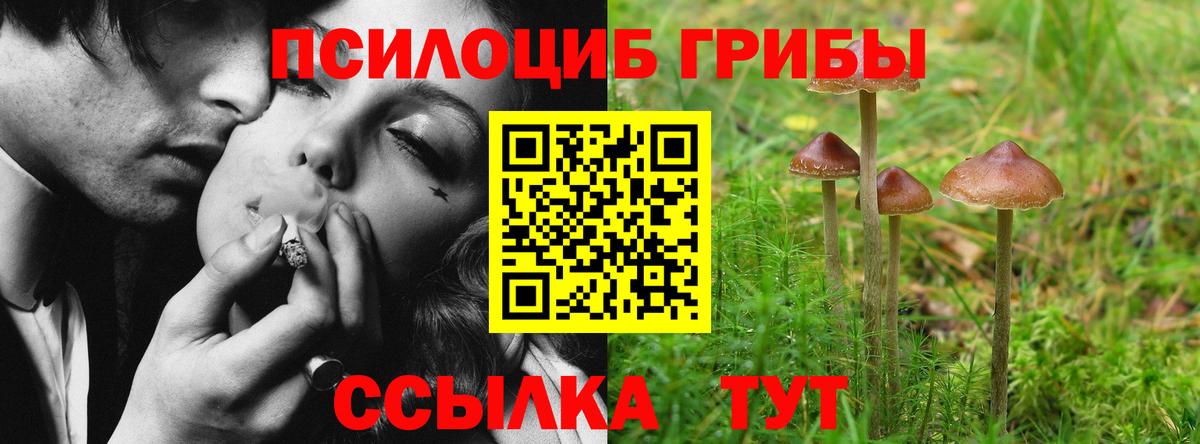 Галлюциногенные грибы Cubensis  Псилоцибиновые грибы Magic Shrooms  Вход с VPN  Новозыбков 